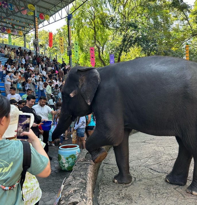 Safari World Bangkok